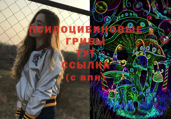 а пвп мука Алзамай