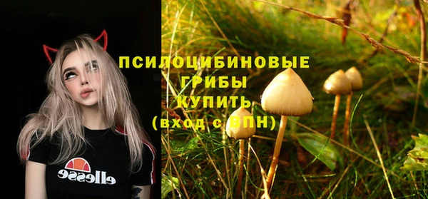 первитин Алексеевка