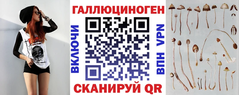 где купить наркоту Славск Галлюциногенные грибы Magic Shrooms